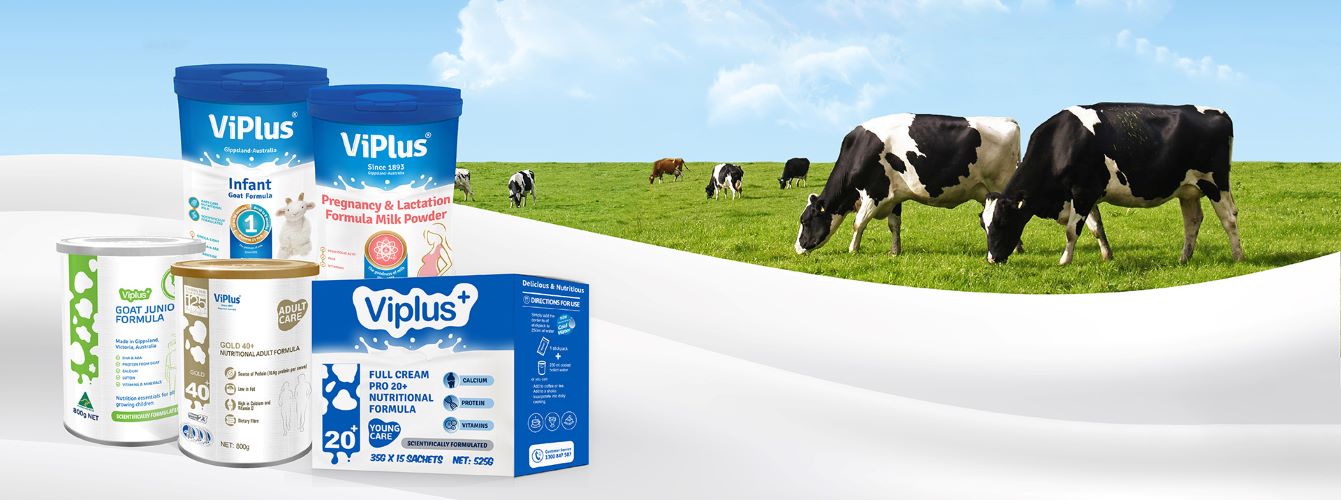 vipplus_product-banner_500